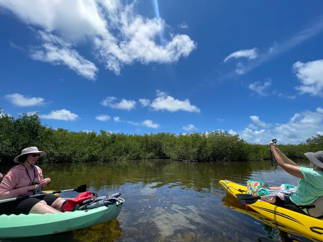 SpongeBob Kayak Eco Tours