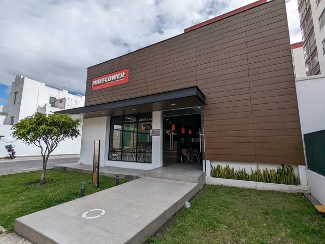 Mayflower / Buffalos