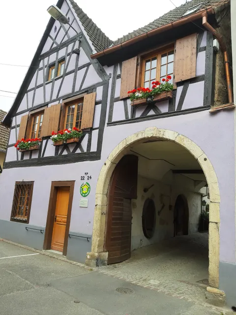 Gites du Florimont: Gîtes au calme, route des vins,3 gîtes, 4,5,7,personnes,animaux gentil et propres acceptés Centre Alsace