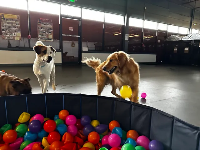 Baltimore Bark House