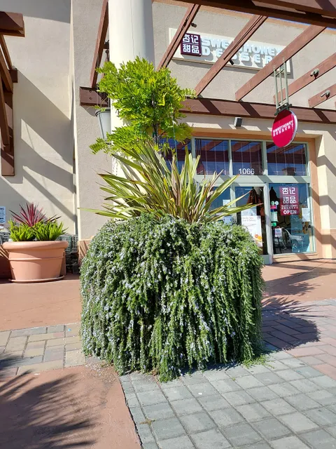 Marlin Cove Shopping Center