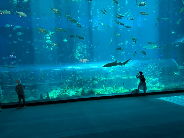 Cung điện Hải Vương (Thủy cung mới)-VINWONDERS; THE SEA SHELL