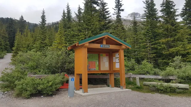 Columbia Icefield Campground