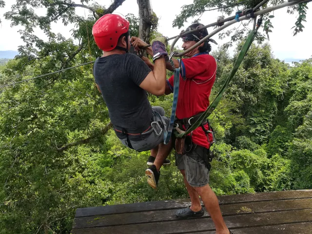 Osa Palmas Canopy Tours