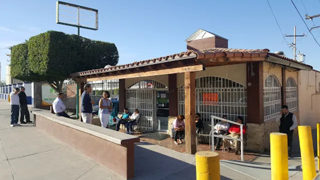 RESTAURANT LOS SAUCILLOS