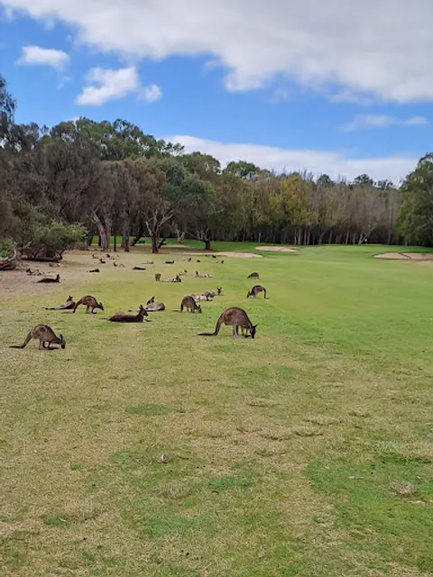 Victor Harbor Golf Club