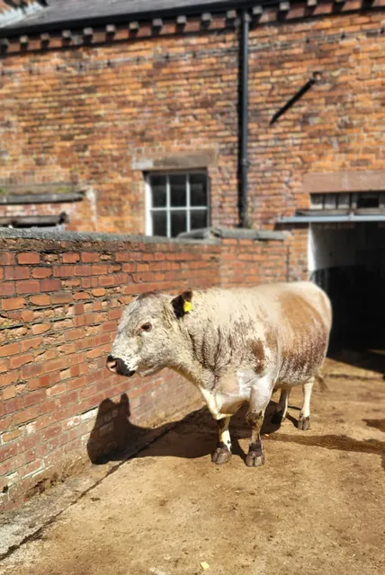 Croxteth Park Farm