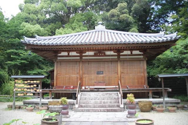 Chikurinji