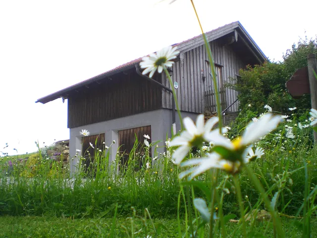 Himetsbergerhof - Familie Voithofer