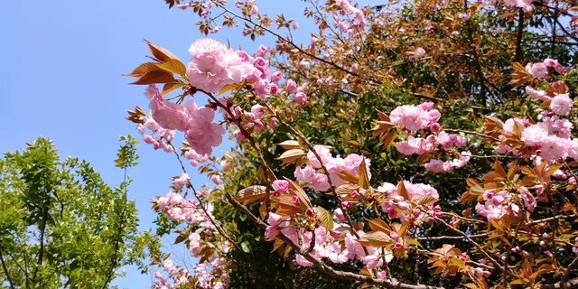 Hengshan Mountain Park