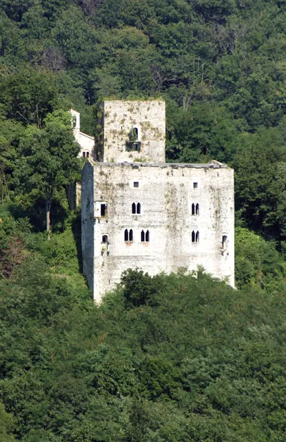 Tenuta Valdomini S. Agricola R.L.