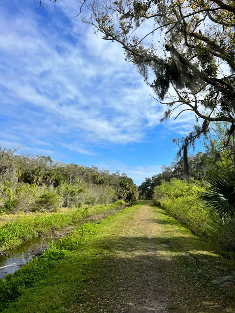 Red Bug Slough preserve back lot