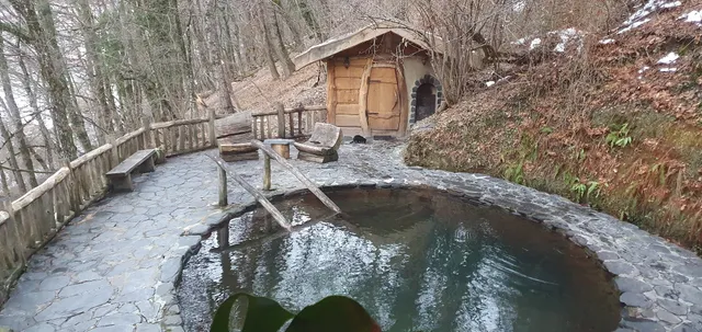 Guest house Kashtanoviy dvor