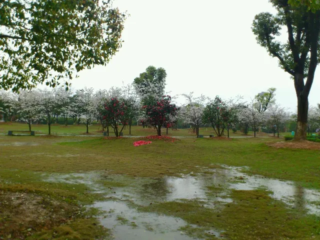 East China Institute of Technology