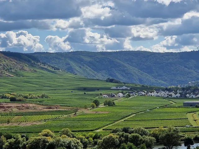 Günter und Mechthild Willwert