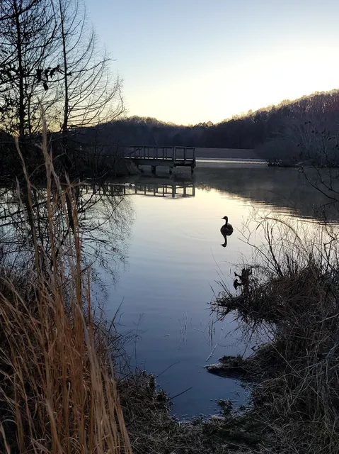 Mulberry Park Fishing Pier