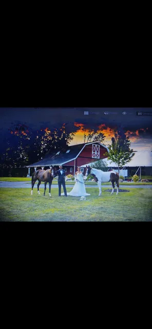 The Barn on South Holland