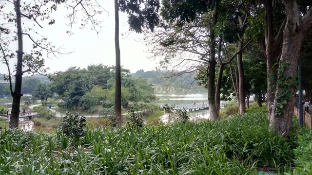 Qifeng Botanical Garden （Northeast Gate）
