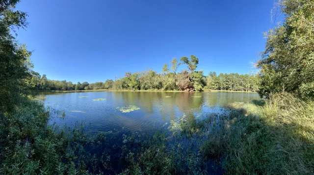 Spring Trails Preserve