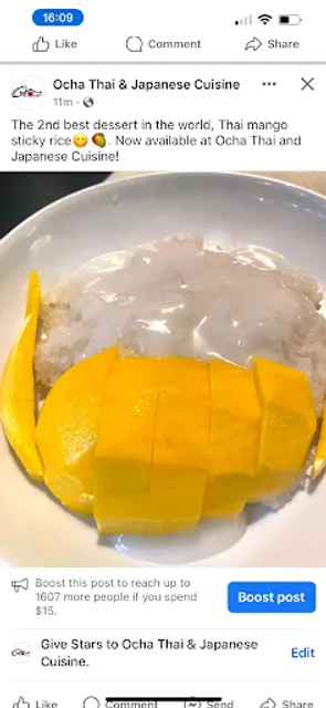 Ocha Thai and Japanese Cuisine