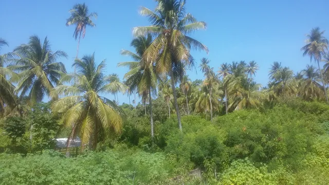 Recanto Porto da Rua