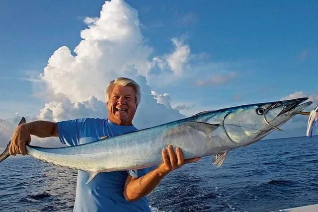 Sea Horse Private Charters