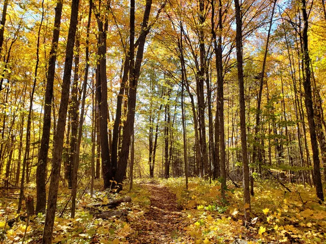 Betsie River Pathway