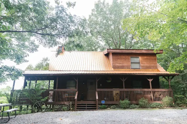 Beary Viewtiful Cabin