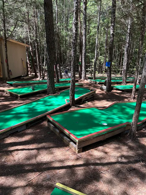 KC Farms Forest Kids