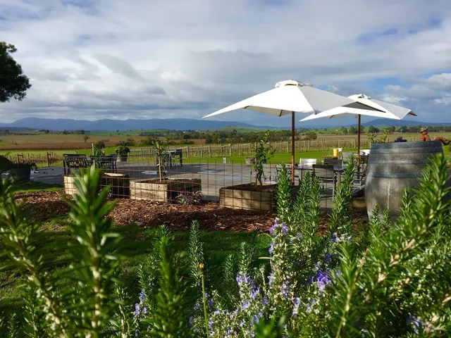 Acacia Ridge Winery Yarra Valley