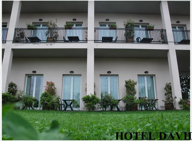 Hotel David
