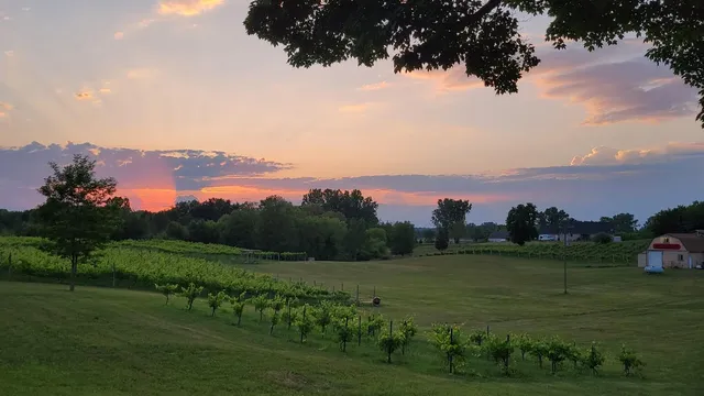 Cherry Creek Cellars