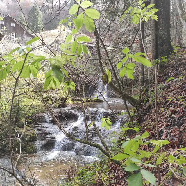 Aussichtsplattform Wasserzauberweg
