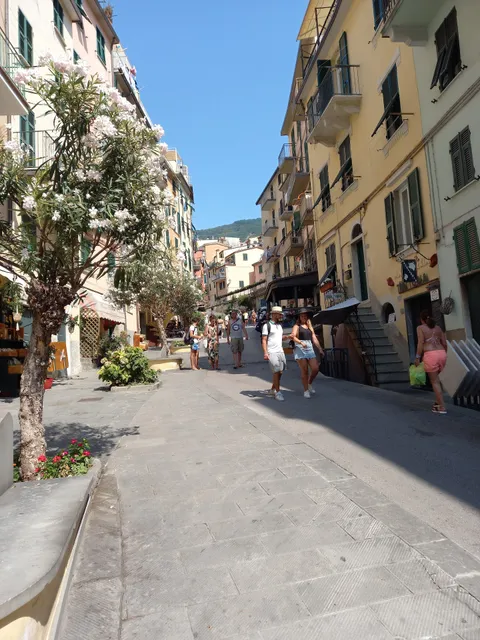 Immobiliare 5 Terre Ltd.