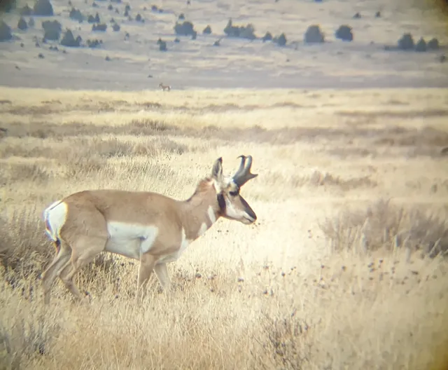 Hart Mountain National Antelope Refuge Visitor Center