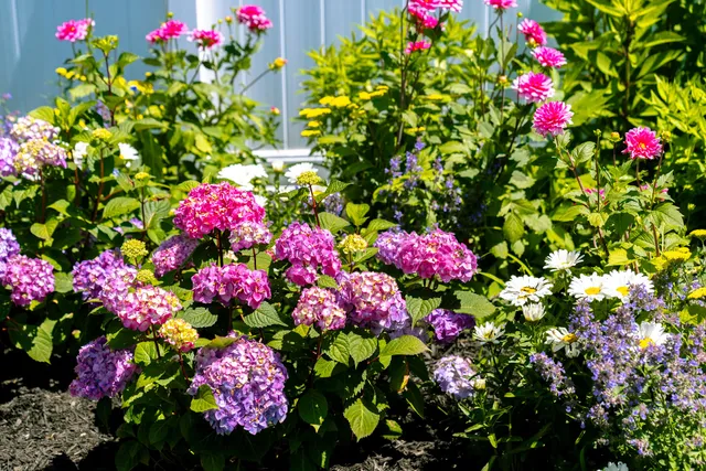 Hewitt's Garden Centers Queensbury