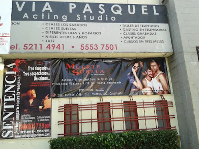 "EL CENTRO CULTURAL SYLVIA. PASQUEL "