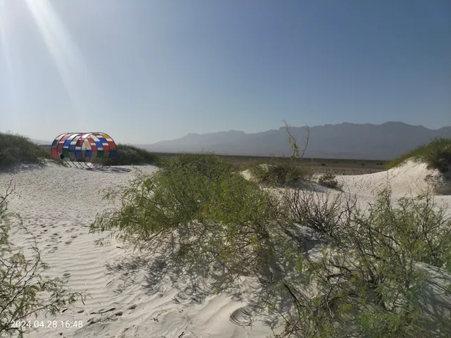 "Los Arenales" (gypsum dunes)