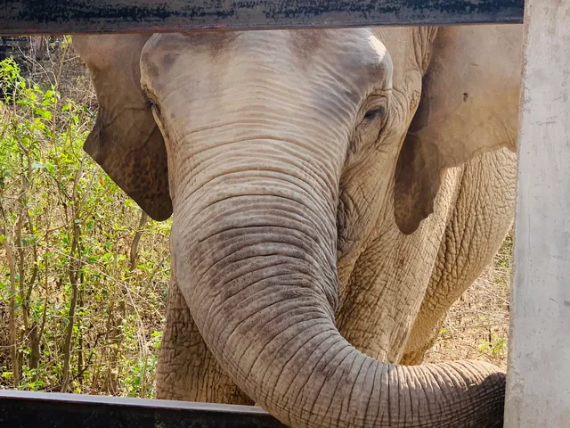 Phnom Tamao Wildlife Sanctuary