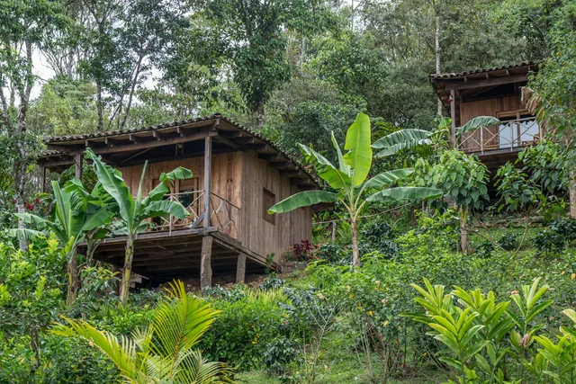 Finca Esperanza Verde - Eco Lodge, Coffee Farm & Nature Retreat