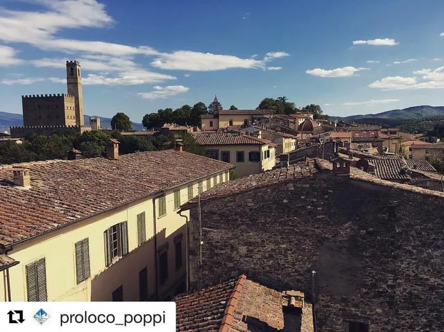 Castle of the Earls Guidi