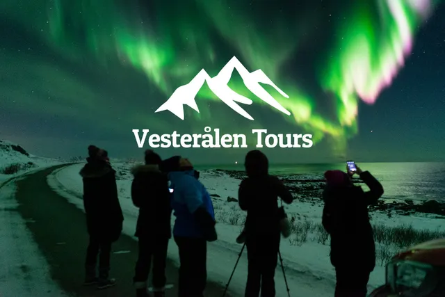 Vesterålen Tours - Northern Lights Tours, Wildlife Safari And Moose Safari - Private Guided Tours