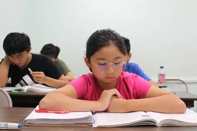 Ivy League School (長春藤学院)