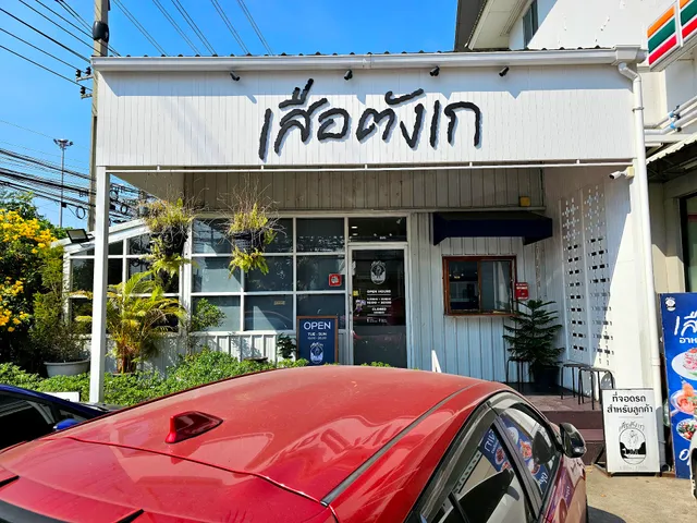 เสือตังเก (Fisher Tiger) กาญจนาภิเษก-บางแค