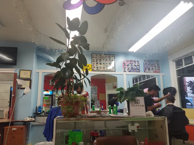 San Francisco Hair Cut