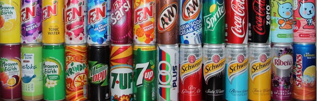 Majestic Trader Pte Ltd