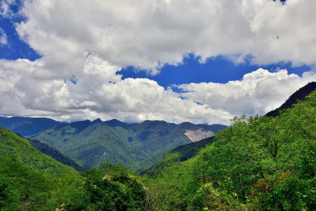 雪霸國家公園觀霧管理站