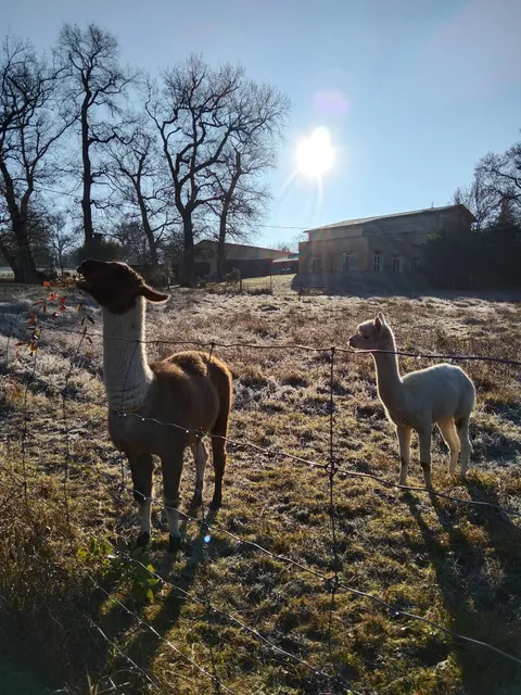 Château Courtade Dubuc