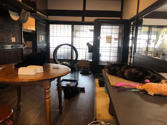 ほごにゃんどるちぇるーむ Kawaii