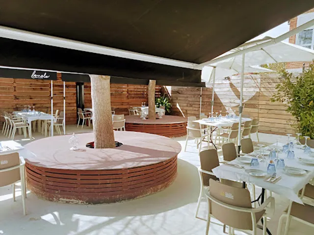 Bonobo Bar Restaurante